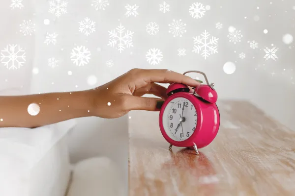 Snowy Morning Wake Up