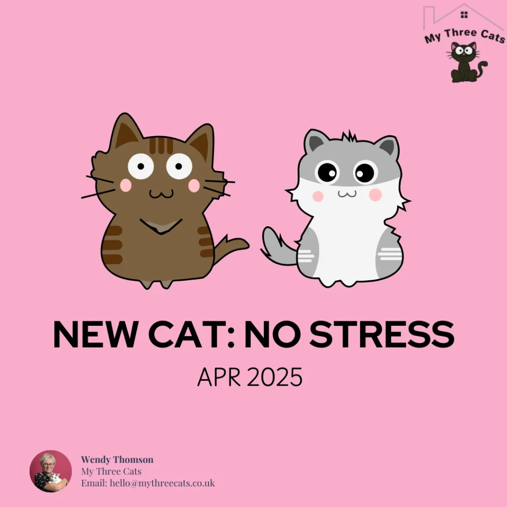 New Cat, No Stress: The Ultimate Guide to Home Introductions (Starring Arthur!)