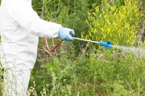 Seasonal weed control and lawn treatment by Bloomington Lawn & Snow