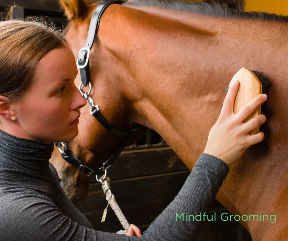 Meditative Grooming