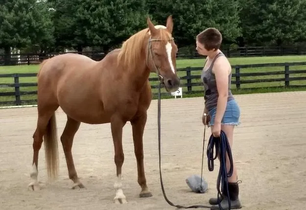 How to Recognize Pain in Horses