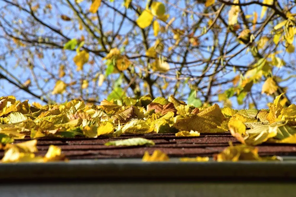 Gutter