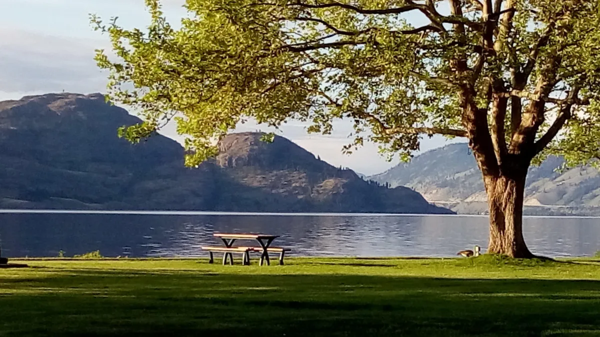 Picnic Table Under Tree on Okanagan Lake