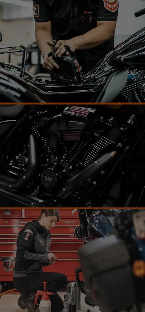 The Harley-Davidson Breakout: A Modern Muscle Bike