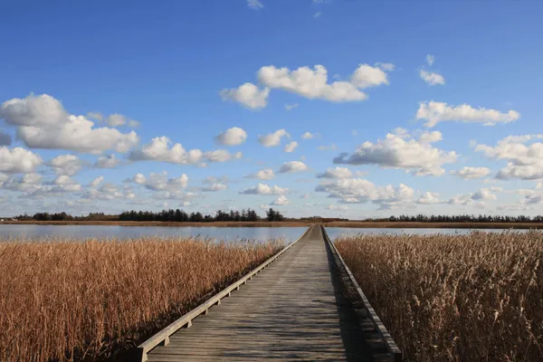 Holzbrücke über Wasser mit weitem Himmel, Symbol für Bewusstheit und Verbindung – Motiv aus Dänemark.