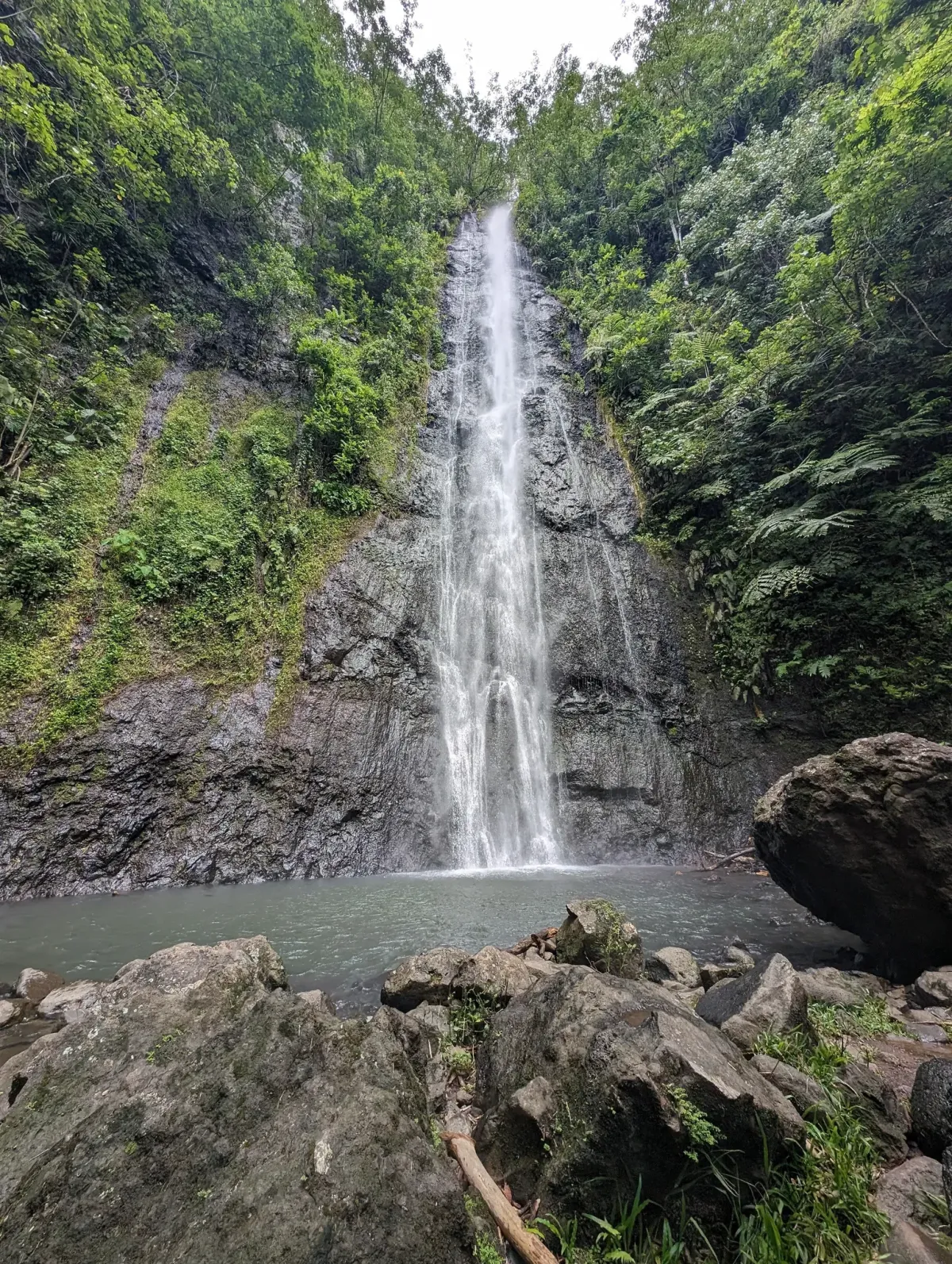 Randonnée aux cascades d’Afareaitu : fraîcheur et nature sauvage au cœur de Moorea