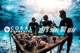 🌊 Coral Gardeners : Sauver les récifs coralliens, un corail à la fois