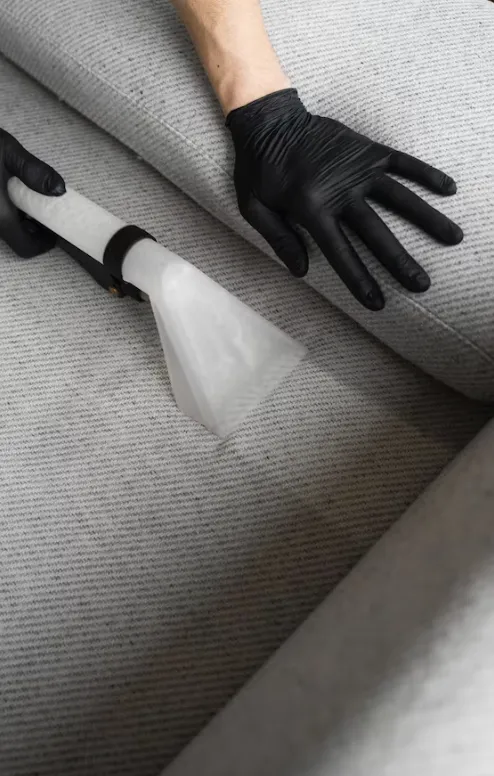 pet and odour carpet cleaning London