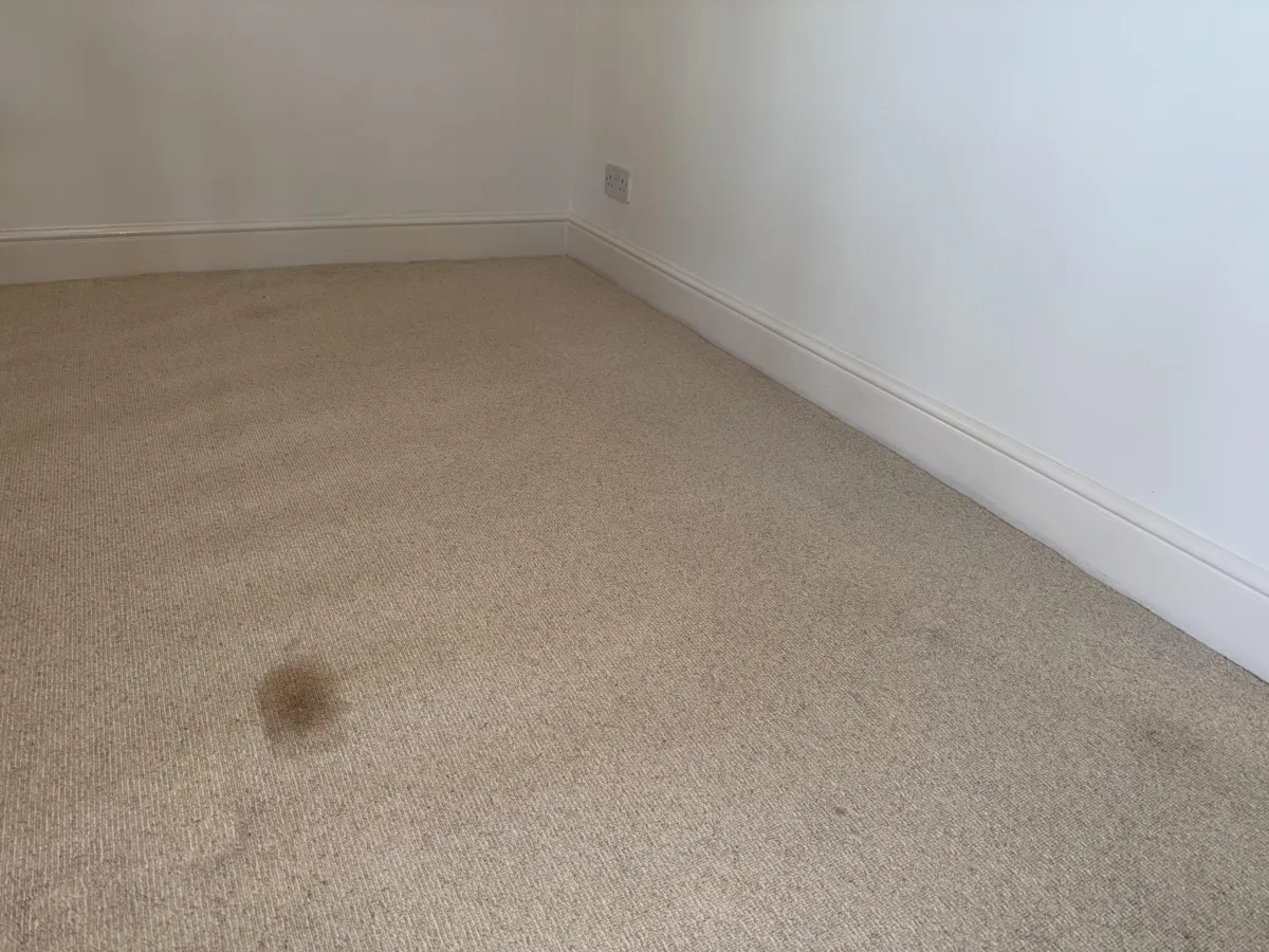 Carpet stain removal 
