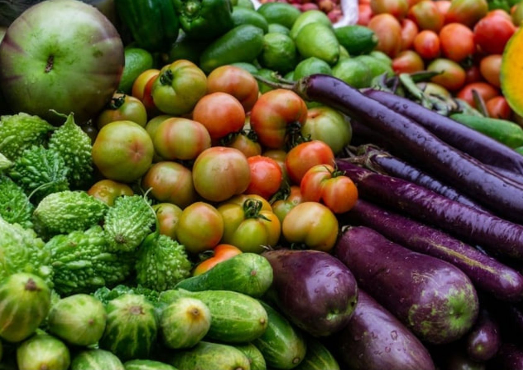 How Milk Lady Markets’ CSA Supports Local Farmers and Builds a Stronger Community