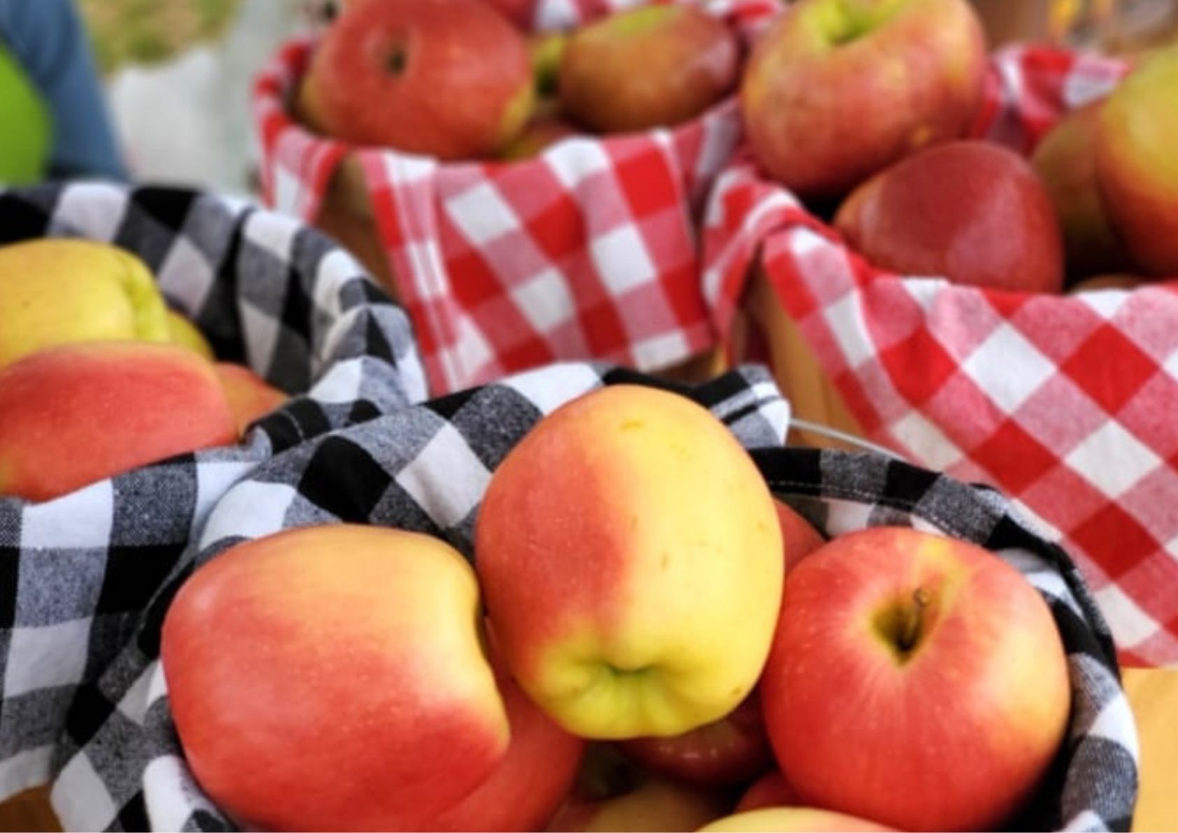 Maximize Your Farmers Market Visit: Tips & Food Finds