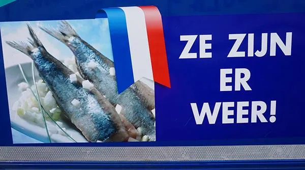 Er ist zurück – Frischer Matjes aus Holland