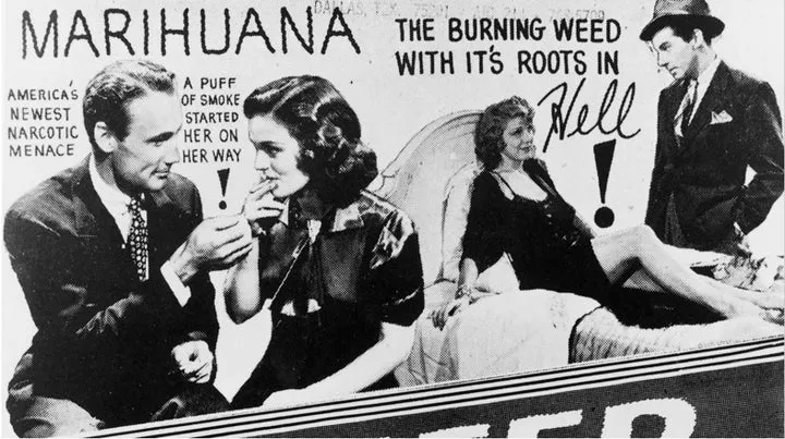 Fear of Cannabis and CBD