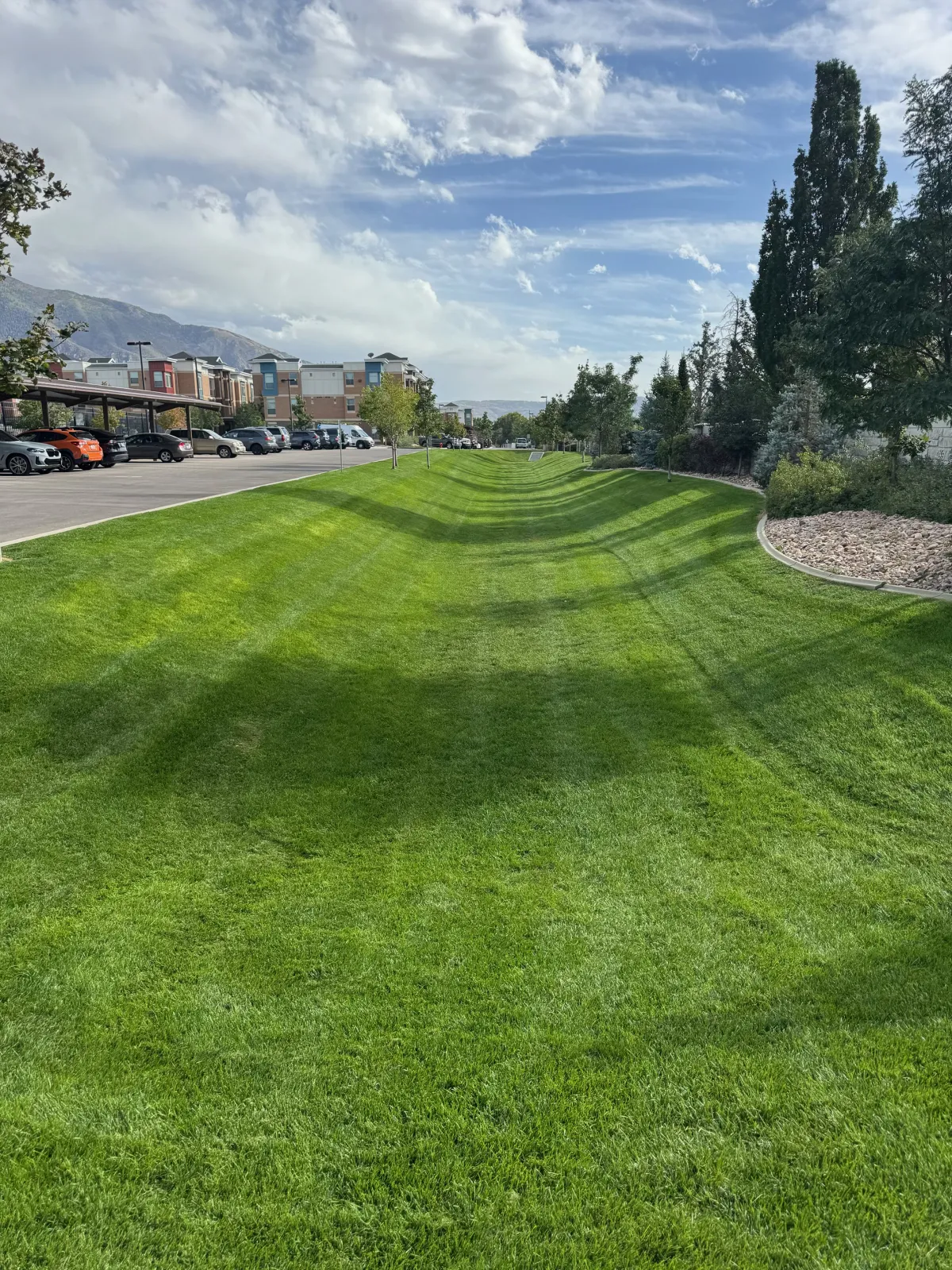 beautiful landscaping in murray