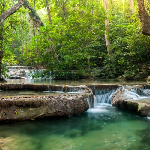 Crystal Clear Springs & Falls