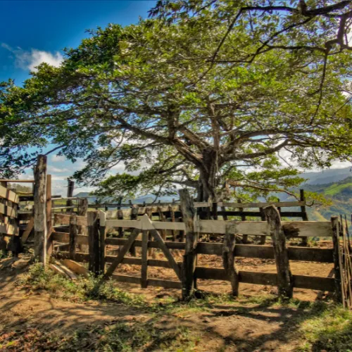 The most gorgeous farmland you have ever seen