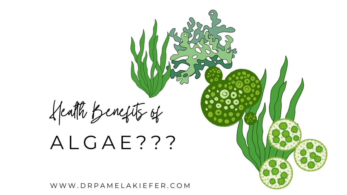 algae's health benefits