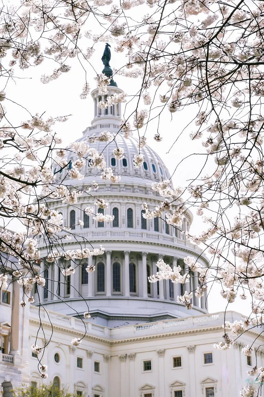 Government Incentives and Policies Driving Solar Energy Adoption