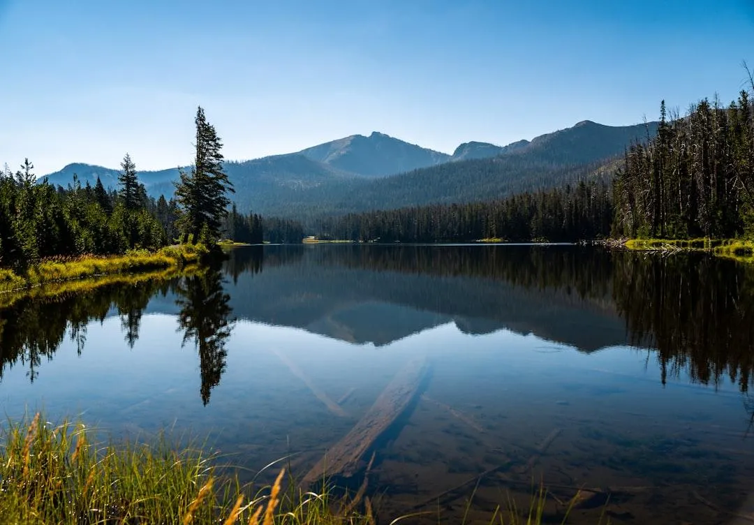 The Leadership Edge: Unlocking Growth Through Reflective Practice