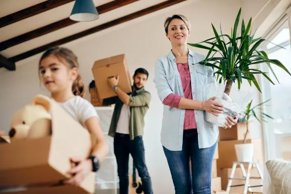  The  Dispute Blueprint: Correcting Credit Errors That Block Homeownership