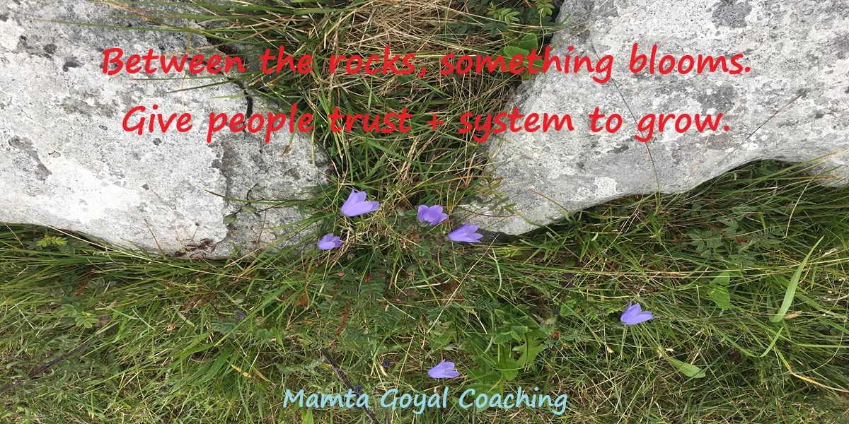 Wildflowers Grow in Unlikely Places And So Do People