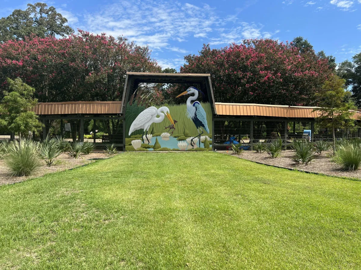 Wild Adventures Await at the Louisiana Purchase Gardens and Zoo