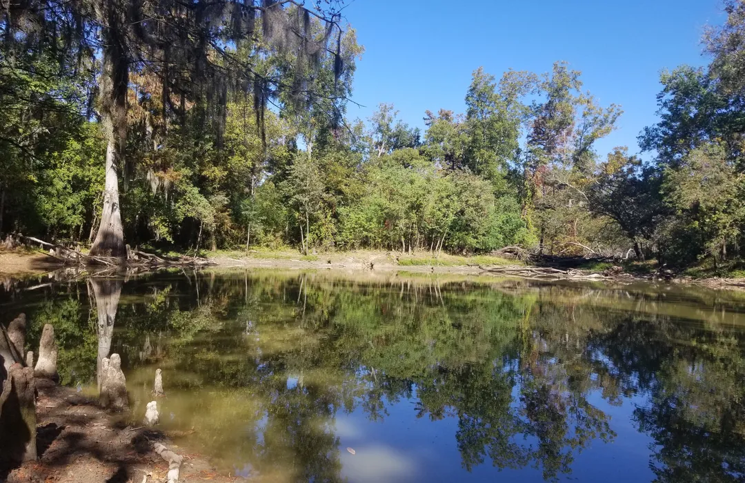 Lazarre Park: West Monroe’s Riverside Playground