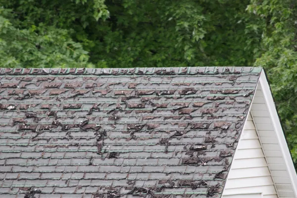 Don't Ignore These Signs You Need Roof Repairs