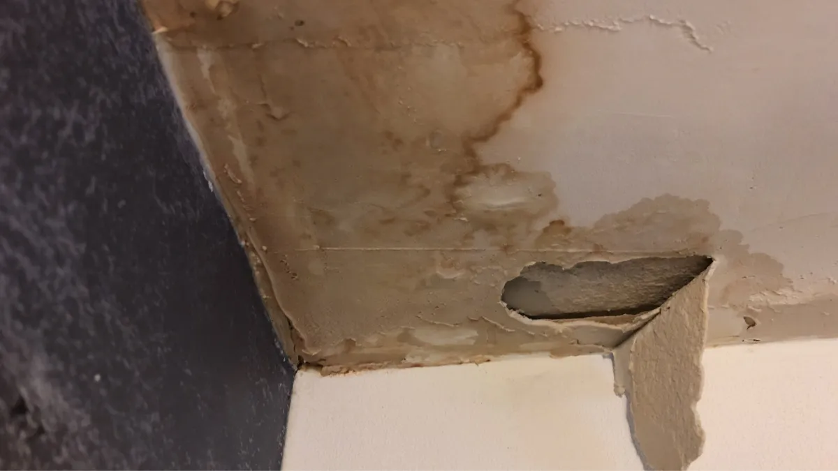 leaking roof