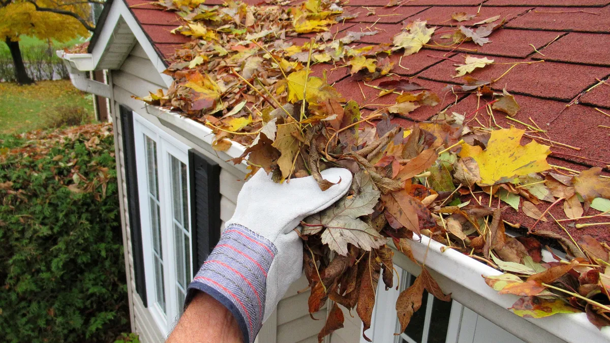 Your Complete Checklist for Gutter Maintenance for Fall Virginia Beach