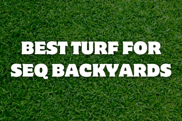 Image of grass in the background with the text overlayed "best turf for SEQ backyards"