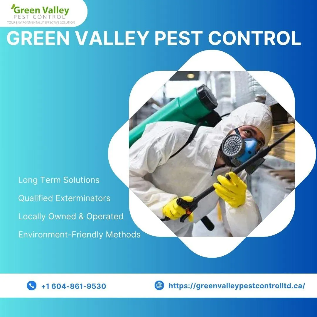 Pest Control Service