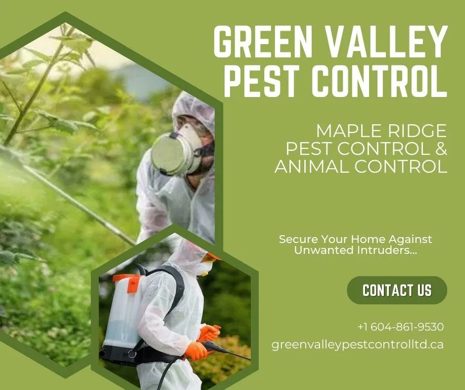 Pest Control Company