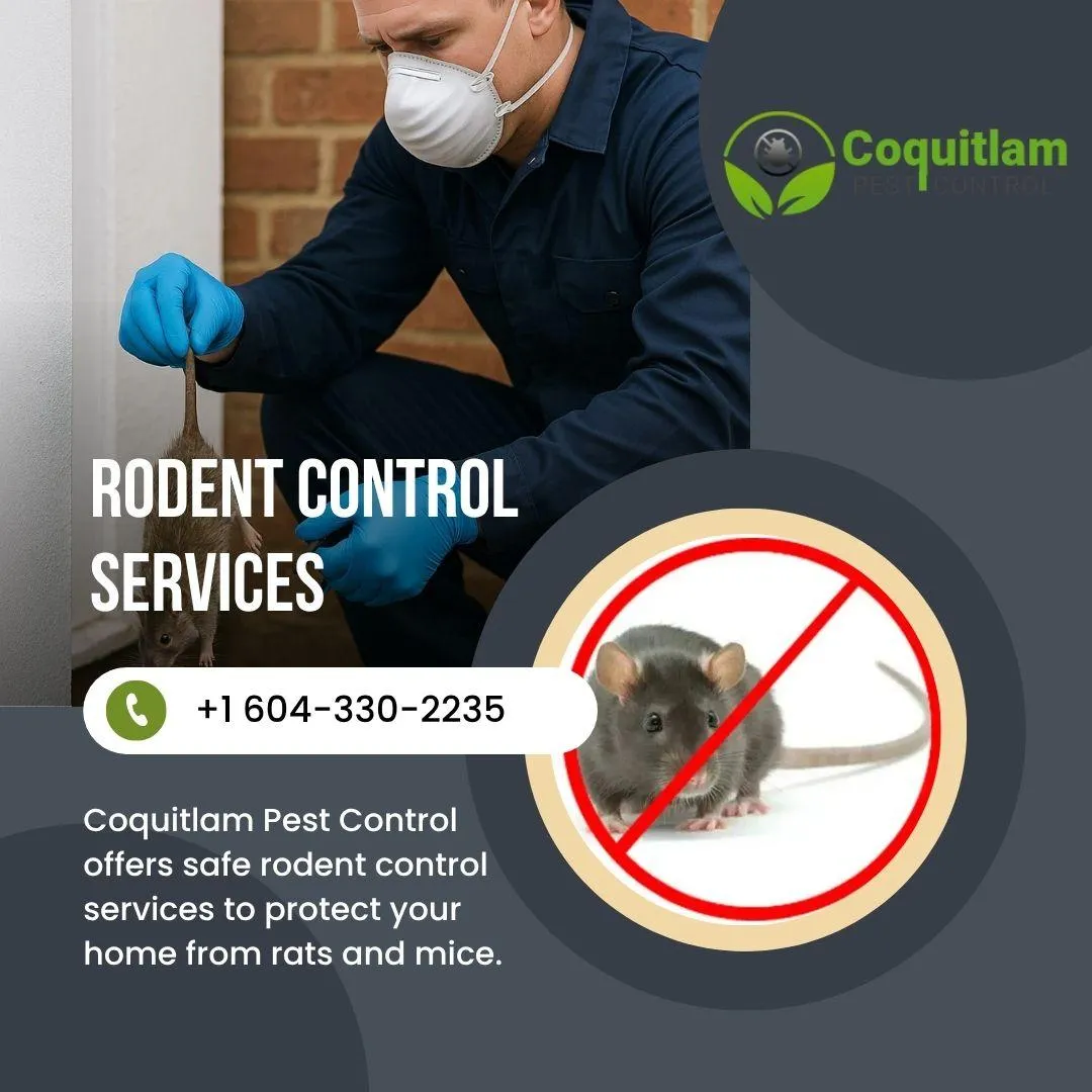 Rodent Control Services