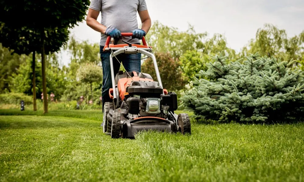 How to Choose the Best Lawn Care Company in Mason City