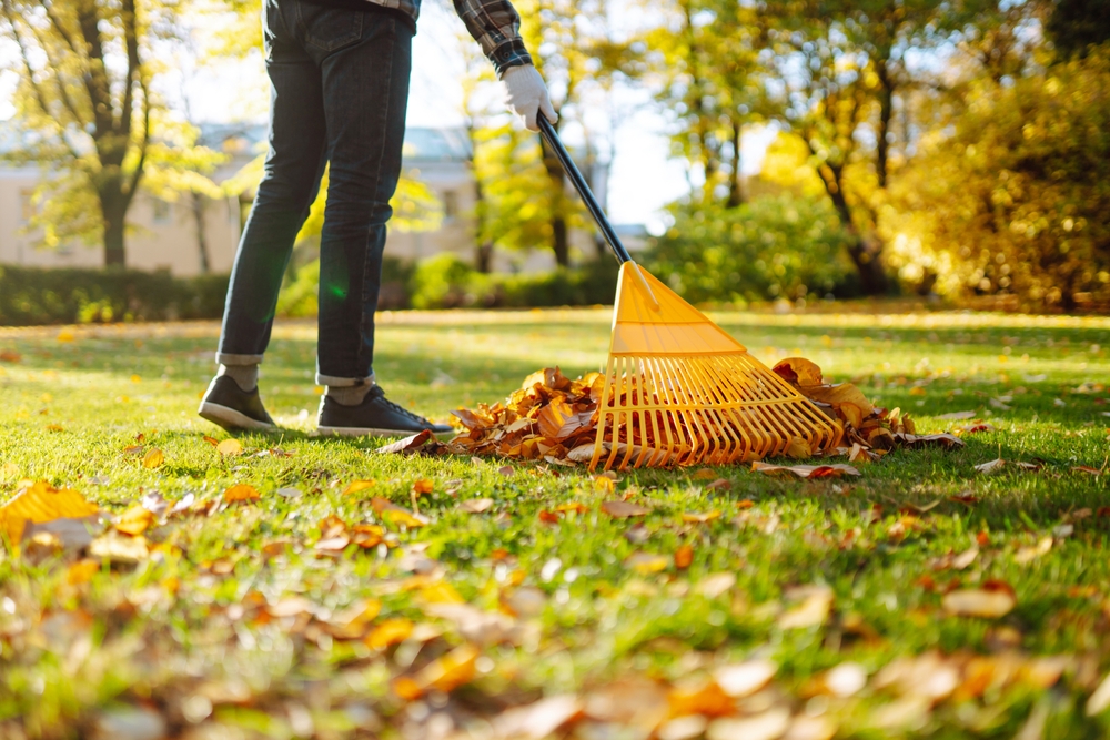Fall Lawn Care Tips for Mason City Homeowners