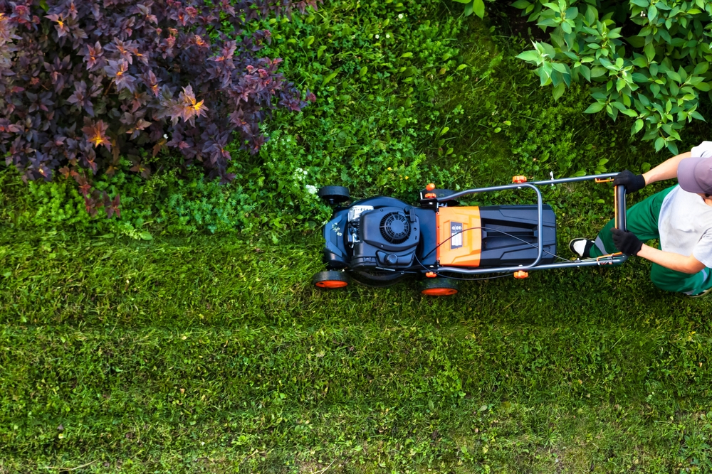 lawn mowing service