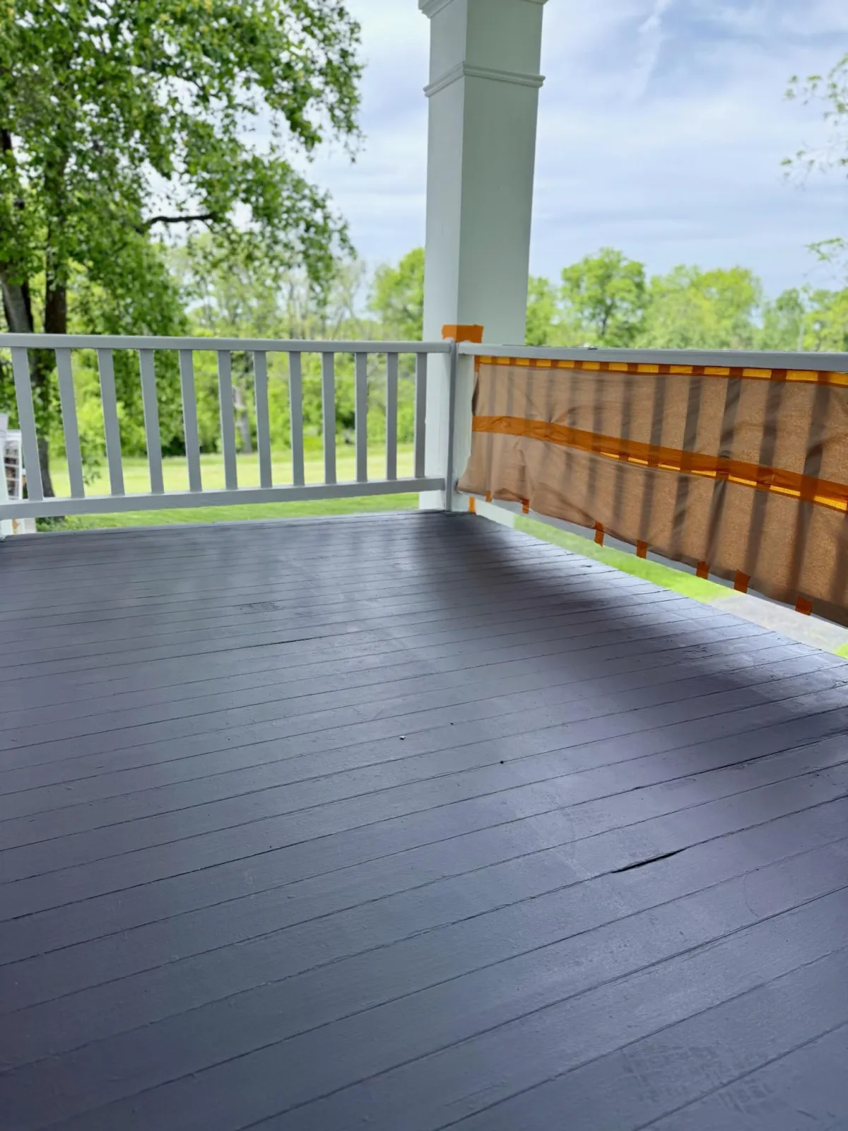 Fence Painting
