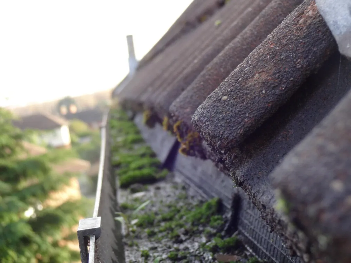 Roof Level Photography During Inspections