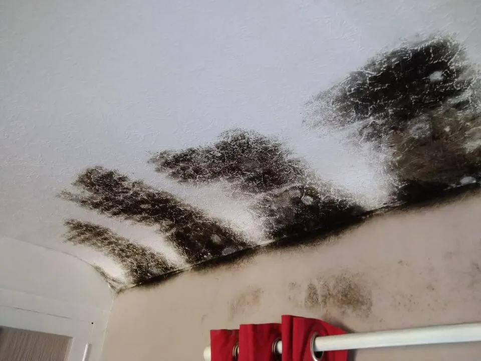 The Tenant Behaviour Defence… is it one?