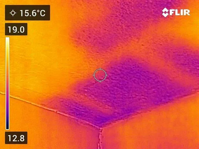 Mould ceiling
