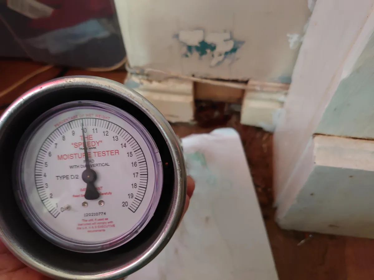 What Your Damp Survey Should Include (and Why It Matters)