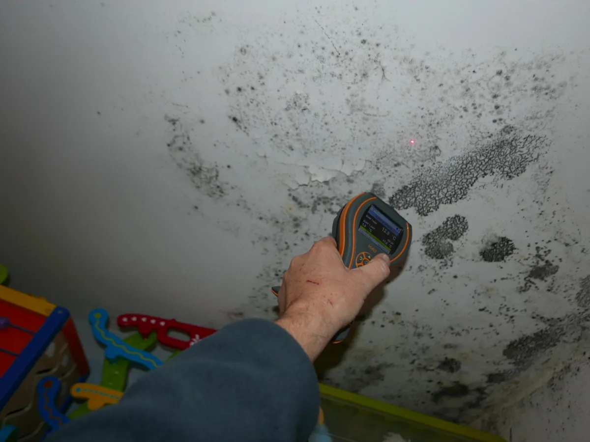 Tenant or Property? Understanding the Root Causes of Damp and Mould