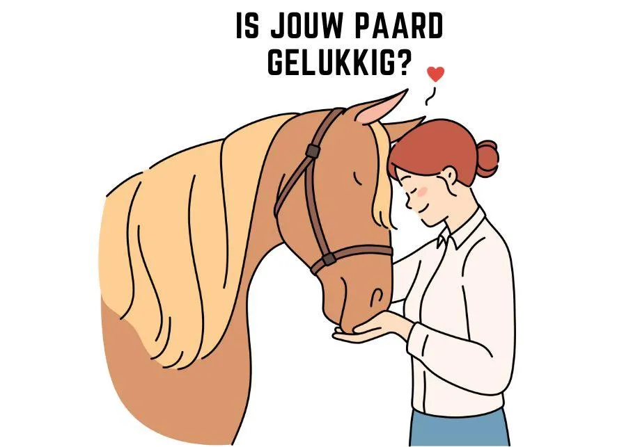 Is mijn paard gelukkig bij mij? Ontdek de signalen