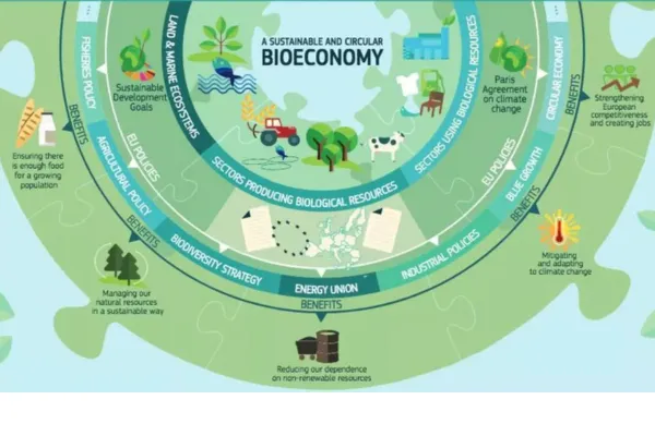 ec knowledge centre for bioeconomy