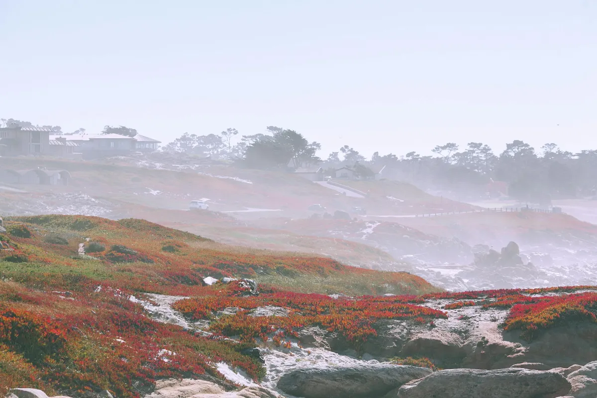 How Coastal Weather Affects Drywall Integrity in San Luis Obispo County