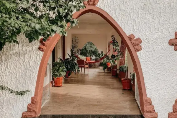 An archway into a house full of plants