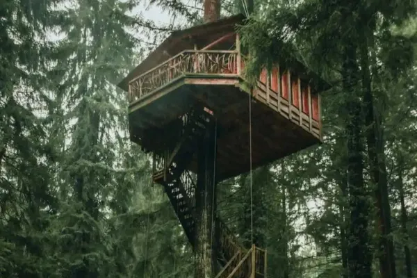 A treehouse in a forest