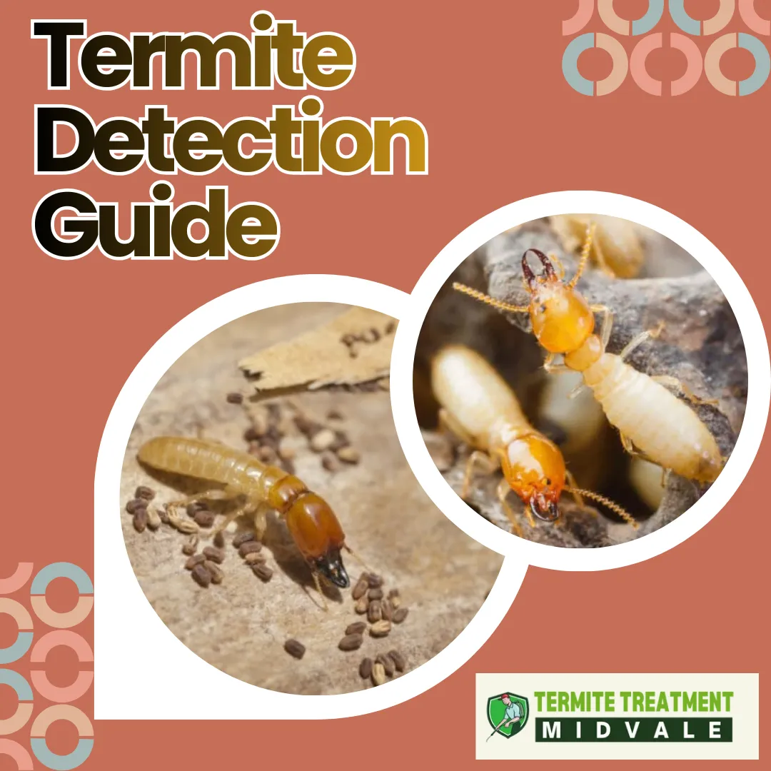 Signs of termite infestation in a house, including damaged wood and mud tubes.
