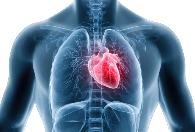 You Cannot Heal What You Do Not Feel: The Neuroscience of Emotional Repression